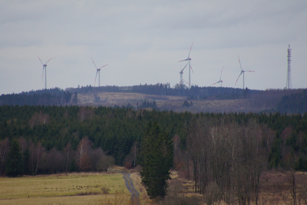 WIA VB Ulrichstein Platte DSC00116.jpg